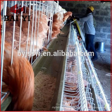 Egg layer chicken cages for 5000 birds poultry farm construction